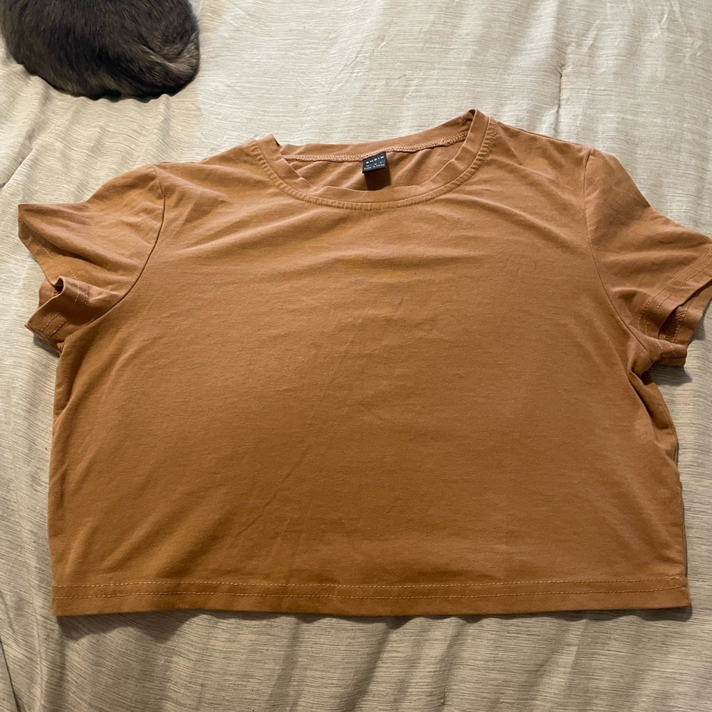 Women's Cropped Crewneck Top - Brown